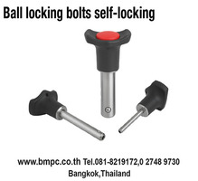 Locking bolt, Indexing plunger, Plunger with pin, สลักล๊อกตำแหน่ง, K0338, K0339, Plug index