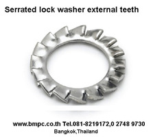 Locking edge washer, Toothed  washer, Locking Disc spring