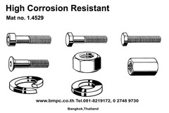 High corrosion resistant fasteners, Duplex bolt, A5, AISI316Ti
