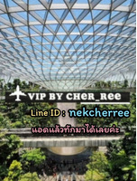 Vipสิงคโปร์ บินฟรี