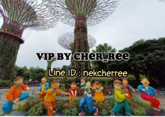 งานดี เงินปัง Vipสิงคโปร์บินฟรีด่วนๆ